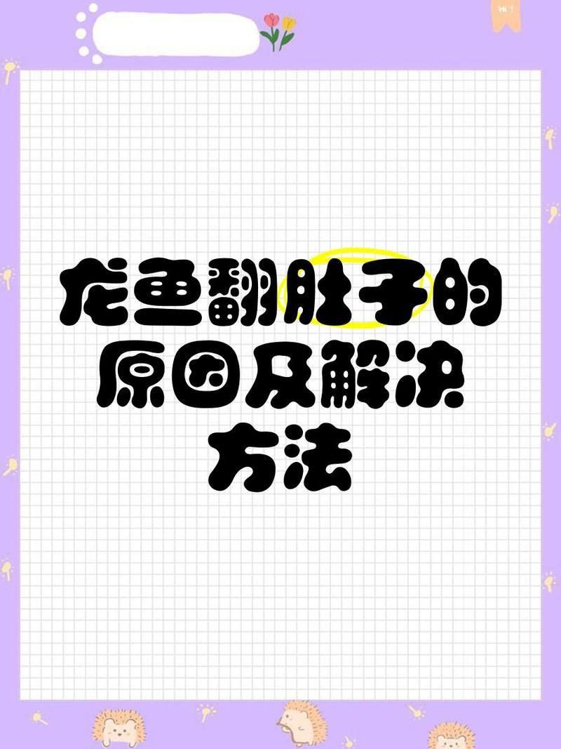 龍魚突然翻肚了要警惕
