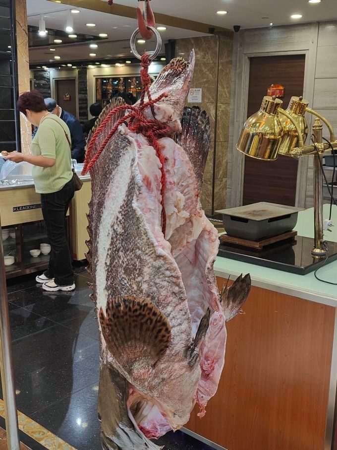 龍躉魚好吃嗎