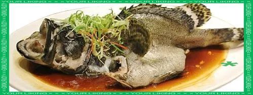 龍躉魚好吃嗎