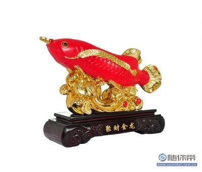 聚財(cái)龍魚放在家里好嗎風(fēng)水好嗎：聚財(cái)龍魚放在家里好嗎