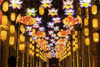 2024年龍魚比賽什么時候：2024年龍舟公開賽時間表