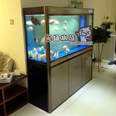 龍魚需要殺菌燈嗎：殺菌燈對龍魚的影響