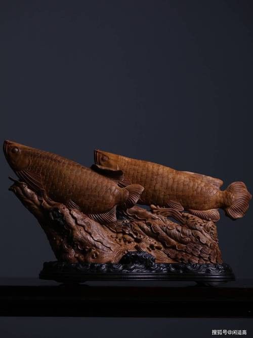木雕刻的金龍魚 木雕刻的金龍魚 龍魚百科 第23張