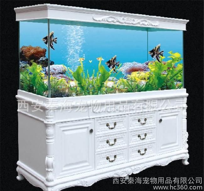 西安魚(yú)缸定制祥龍魚(yú)場(chǎng)地 西安魚(yú)缸定制祥龍魚(yú)場(chǎng)地 龍魚(yú)百科 第3張
