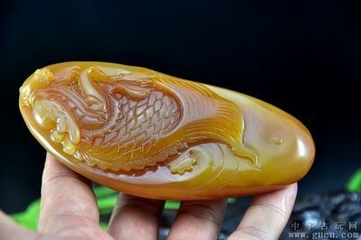 原神紅龍魚釣魚點地圖