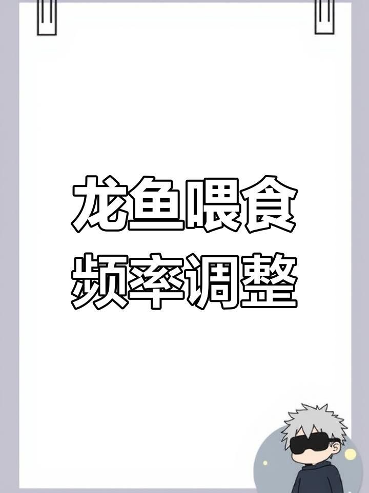 火龍魚多久喂一次食？