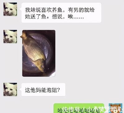 成色好的金龍魚多少錢一條?。撼缮玫慕瘕堲~價格從2000元到數(shù)萬元不等