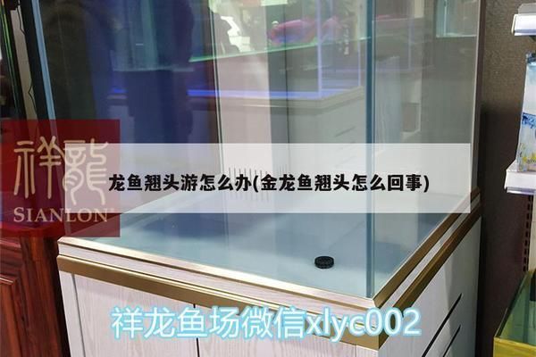 龍魚仰頭在水面游正常嗎：龍魚仰頭在水面游動(dòng)并不正常，可能是多種原因引起的