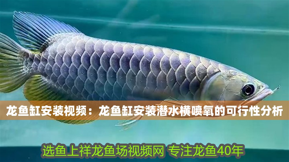 龍魚缸安裝視頻：龍魚缸安裝潛水橫噴氧的可行性分析