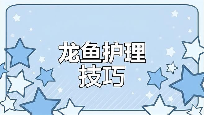 如何避免龍魚受傷？