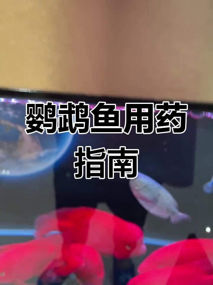哪些抗生素對(duì)魚細(xì)菌感染有效