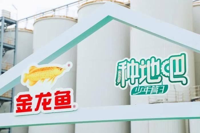 金龍魚跨界合作的具體案例