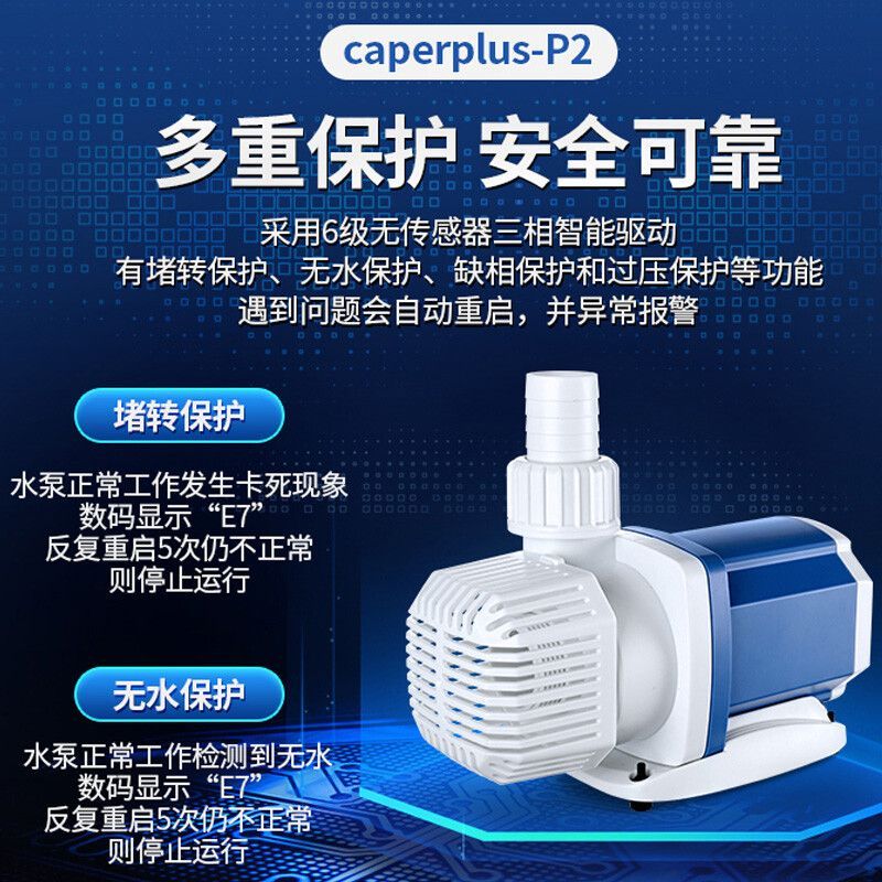 有沒有小龍魚這種魚苗：有龍須的魚主要有哪些？