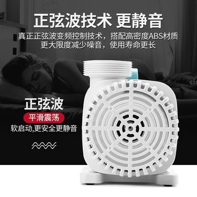 有沒有小龍魚這種魚苗：有龍須的魚主要有哪些？