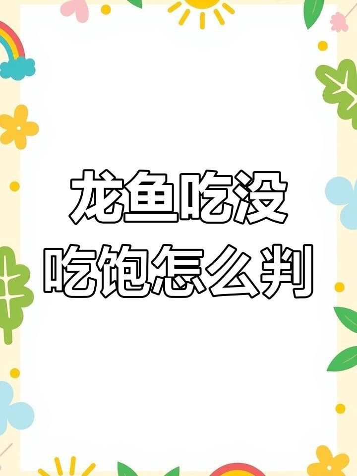 如何判斷七鰭過背金龍是否吃飽？ 如何判斷七鰭過背金龍是否吃飽？ 龍魚百科 第3張