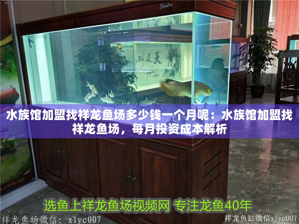 水族館加盟找祥龍魚場多少錢一個月呢：水族館加盟找祥龍魚場，每月投資成本解析