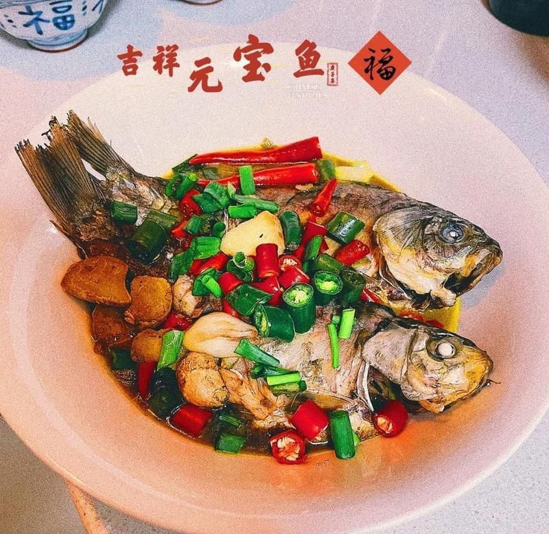 金元寶魚簡介 龍魚百科 第10張 金元寶魚簡介 金元寶魚簡介 龍魚百科 第10張