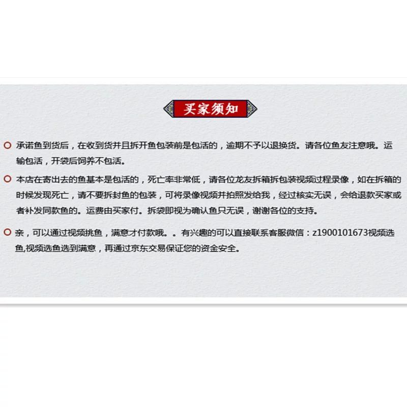 印尼紅龍魚品種及特點：關于印尼紅龍魚品種及其特點的詳細介紹 印尼紅龍魚品種及特點：關于印尼紅龍魚品種及其特點的詳細介紹 龍魚百科 第1張