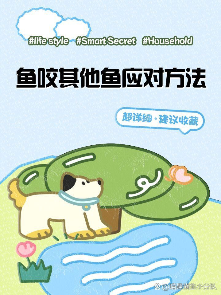 藍寶石魚咬魚最簡單三個步驟