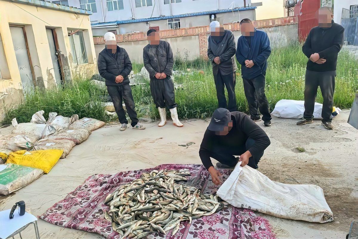 裸鯉的俗稱叫什么