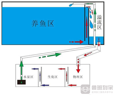 魚(yú)缸過(guò)濾器怎么不運(yùn)作過(guò)濾了