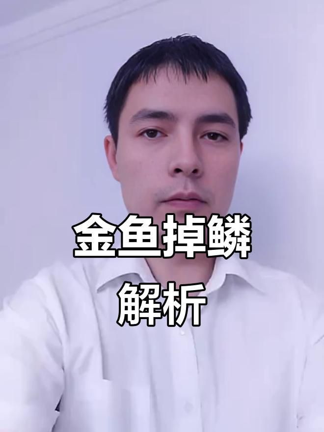 金魚掉魚鱗是什么原因