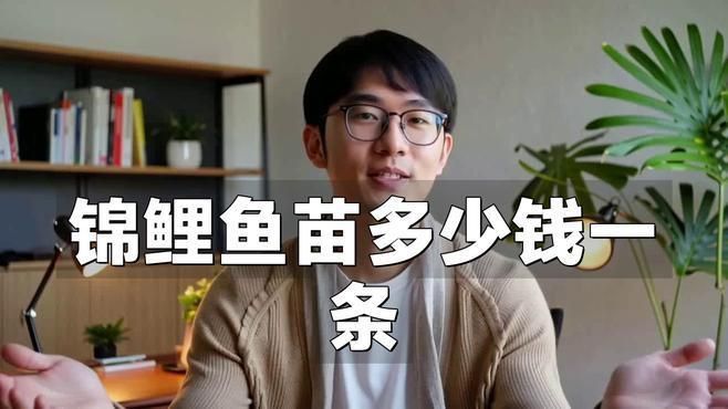 錦鯉魚苗批發多少錢一斤
