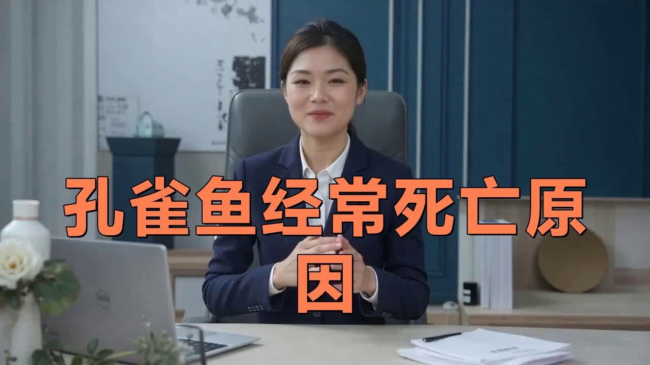 孔雀魚鴻運當頭魚苗死亡率太高了