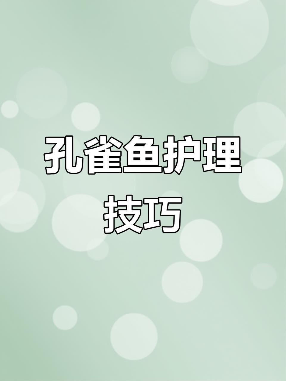 孔雀魚鴻運當頭魚苗死亡率太高了