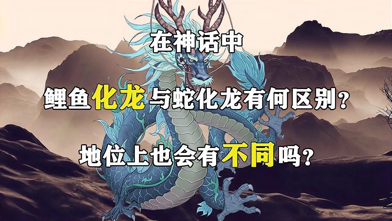鯉魚化龍和蛇化龍的區(qū)別