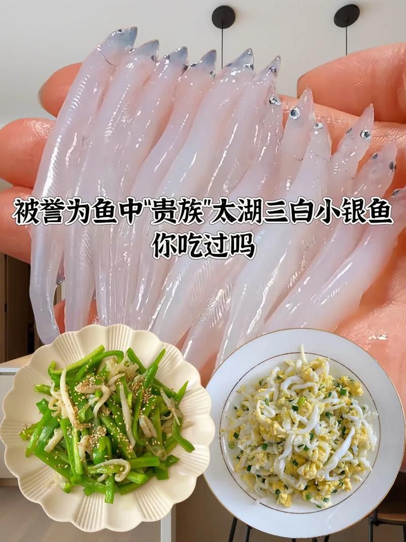 銀龍魚做法大全圖片