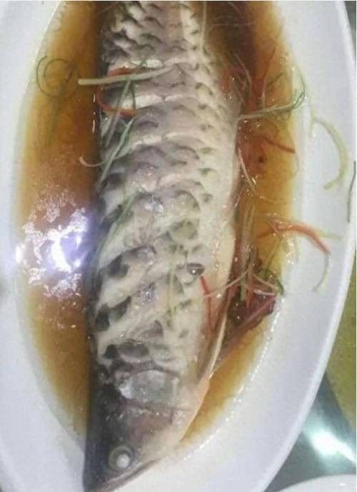 銀龍魚做法大全圖片