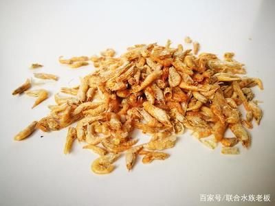 龍魚(yú)吃了不新鮮的蝦會(huì)死嗎：龍魚(yú)吃了不新鮮的蝦會(huì)死嗎龍魚(yú)吃了不新鮮的蝦會(huì)死嗎 龍魚(yú)吃了不新鮮的蝦會(huì)死嗎：龍魚(yú)吃了不新鮮的蝦會(huì)死嗎龍魚(yú)吃了不新鮮的蝦會(huì)死嗎 龍魚(yú)百科 第3張
