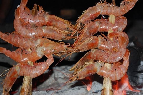 龍魚喂什么發色快些呢，龍魚發色怎么辦
