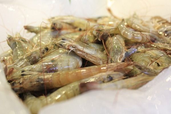 龍魚喂什么發色快些呢，龍魚發色怎么辦
