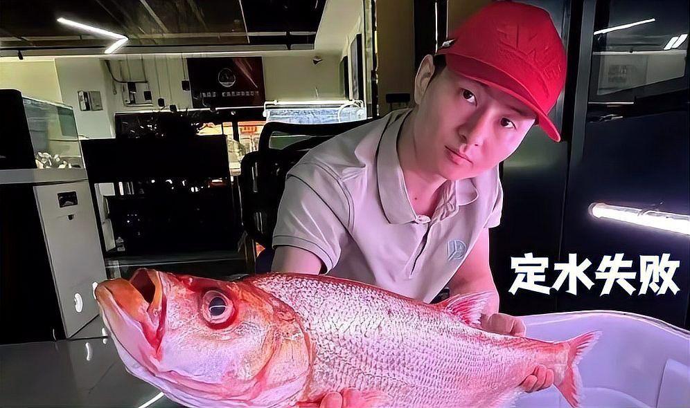 金龍魚翹嘴是為什么呢圖片大全 金龍魚翹嘴是為什么呢圖片大全 龍魚百科 第29張
