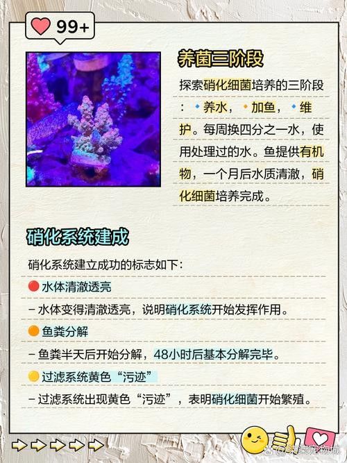 龍魚身上有白膜怎么辦啊圖片 龍魚百科 第25張 龍魚身上有白膜怎么辦啊圖片 龍魚身上有白膜怎么辦啊圖片 龍魚百科 第25張