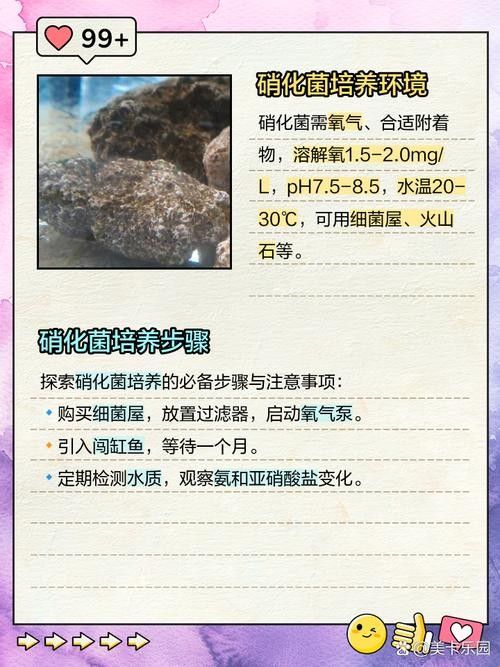 龍魚身上有白膜怎么辦啊圖片 龍魚百科 第28張 龍魚身上有白膜怎么辦啊圖片 龍魚身上有白膜怎么辦啊圖片 龍魚百科 第28張