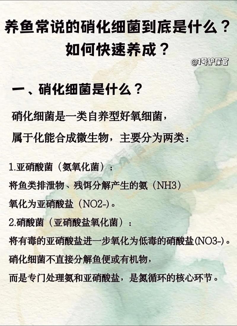 龍魚身上有白膜怎么辦啊圖片 龍魚百科 第39張 龍魚身上有白膜怎么辦啊圖片 龍魚身上有白膜怎么辦啊圖片 龍魚百科 第39張