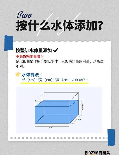 龍魚身上有白膜怎么辦啊圖片 龍魚百科 第38張 龍魚身上有白膜怎么辦啊圖片 龍魚身上有白膜怎么辦啊圖片 龍魚百科 第38張