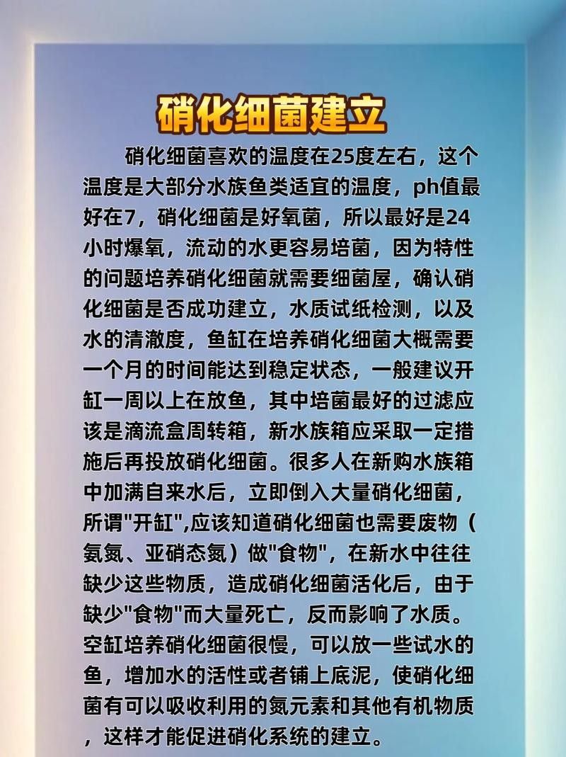 龍魚身上有白膜怎么辦啊圖片 龍魚百科 第36張 龍魚身上有白膜怎么辦啊圖片 龍魚身上有白膜怎么辦啊圖片 龍魚百科 第36張
