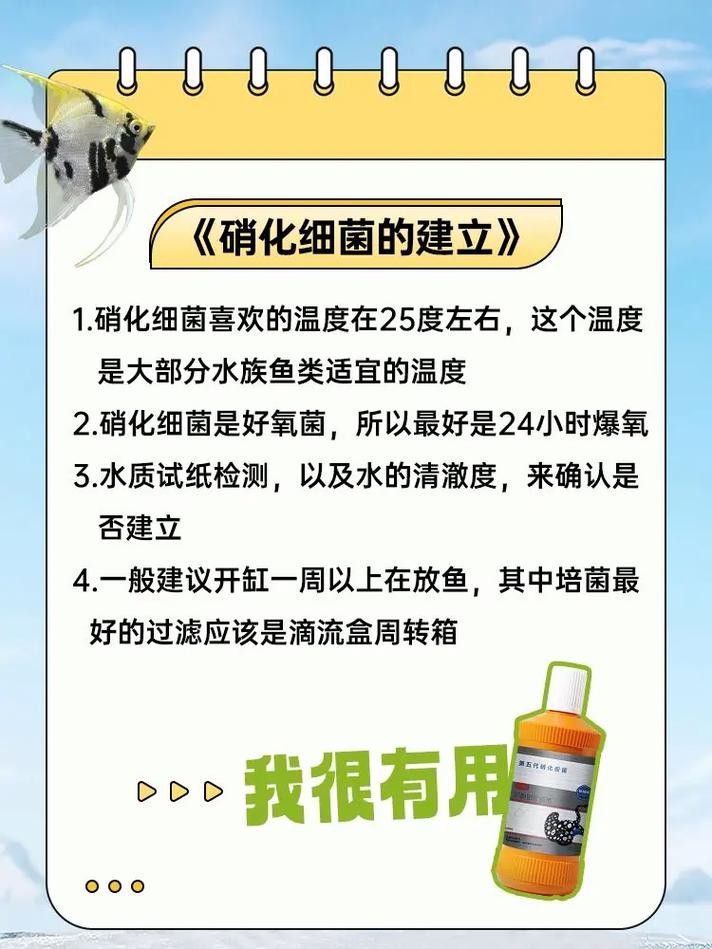 龍魚身上有白膜怎么辦啊圖片 龍魚百科 第30張 龍魚身上有白膜怎么辦啊圖片 龍魚身上有白膜怎么辦啊圖片 龍魚百科 第30張
