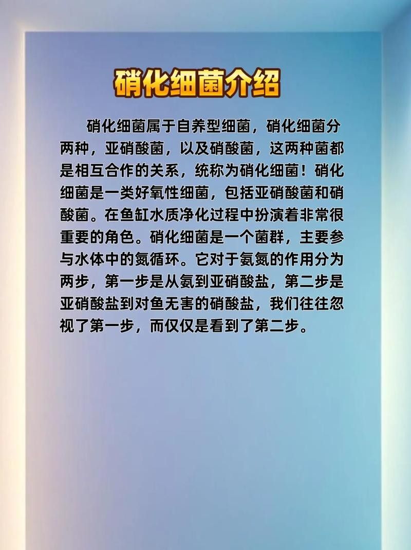 龍魚身上有白膜怎么辦啊圖片 龍魚百科 第37張 龍魚身上有白膜怎么辦啊圖片 龍魚身上有白膜怎么辦啊圖片 龍魚百科 第37張