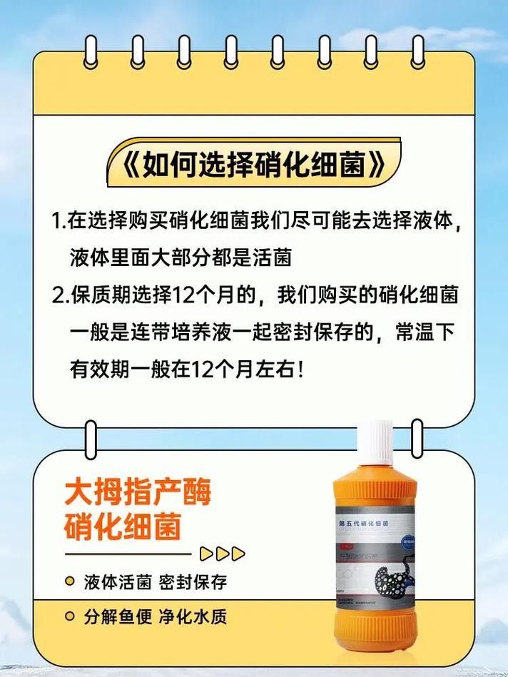 龍魚身上有白膜怎么辦啊圖片 龍魚百科 第34張 龍魚身上有白膜怎么辦啊圖片 龍魚身上有白膜怎么辦啊圖片 龍魚百科 第34張