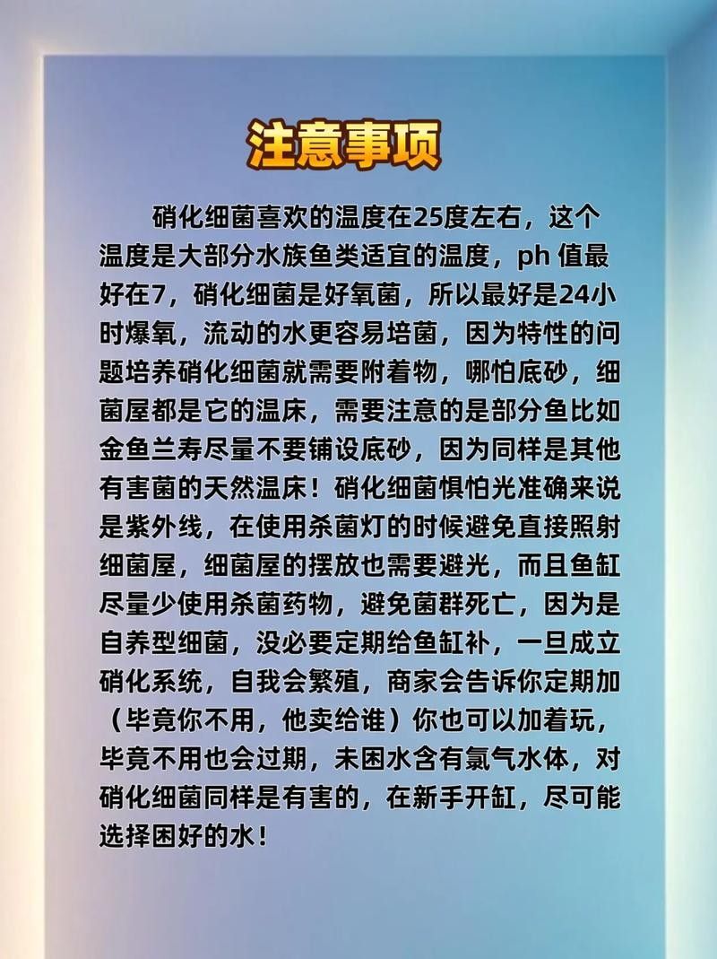 龍魚身上有白膜怎么辦啊圖片 龍魚百科 第40張 龍魚身上有白膜怎么辦啊圖片 龍魚身上有白膜怎么辦啊圖片 龍魚百科 第40張