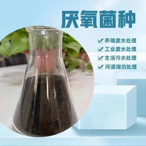 龍魚身上有白膜怎么辦啊圖片 龍魚百科 第45張 龍魚身上有白膜怎么辦啊圖片 龍魚身上有白膜怎么辦啊圖片 龍魚百科 第45張