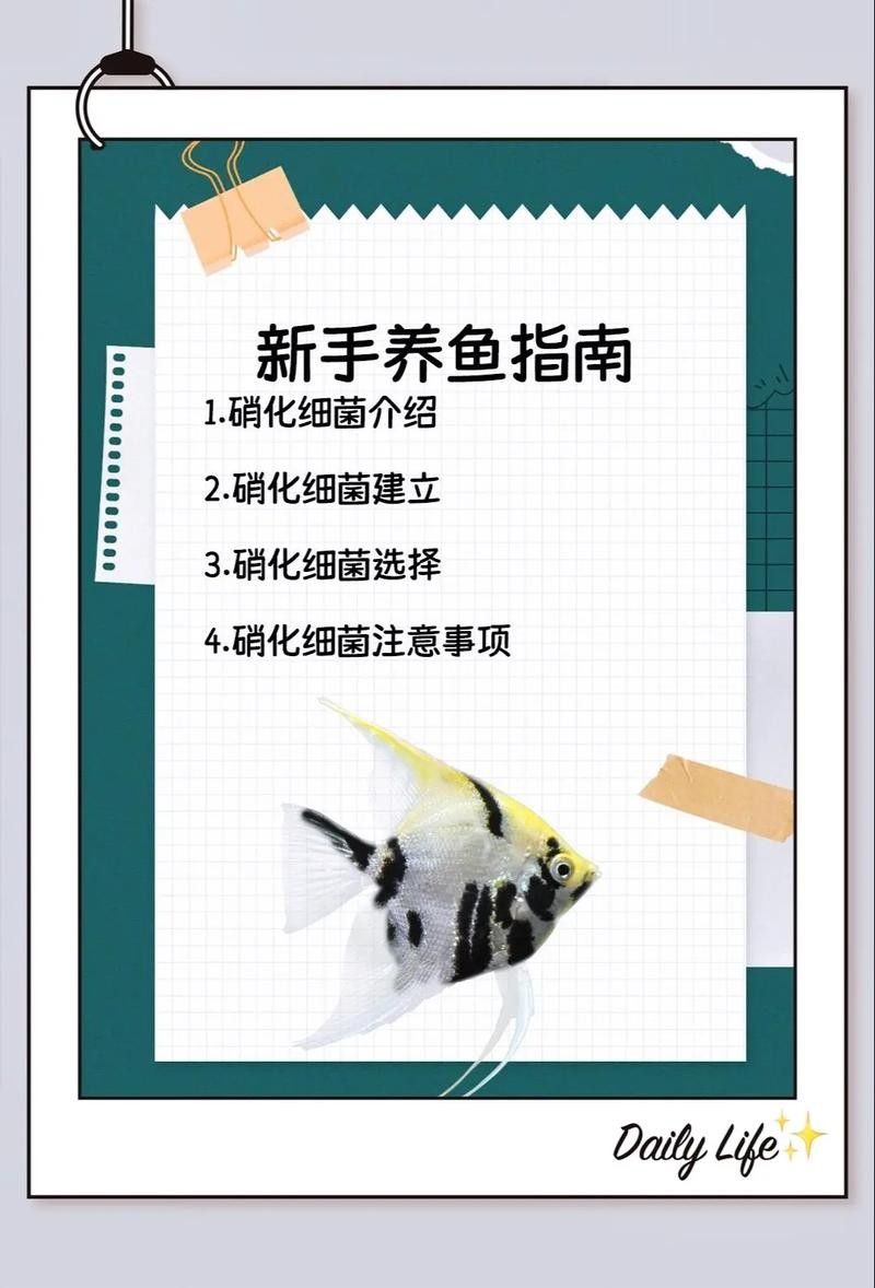 龍魚身上有白膜怎么辦啊圖片 龍魚百科 第44張 龍魚身上有白膜怎么辦啊圖片 龍魚身上有白膜怎么辦啊圖片 龍魚百科 第44張