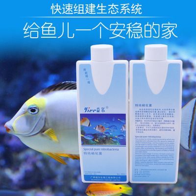 龍魚用品品牌：寶德龍魚、亞克生態、海洋藍寵物用品