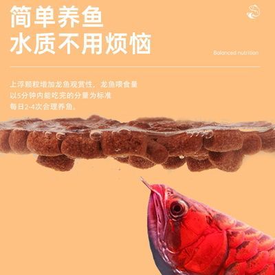 銀龍魚水質的標準（關于銀龍魚水質標準的詳細信息）