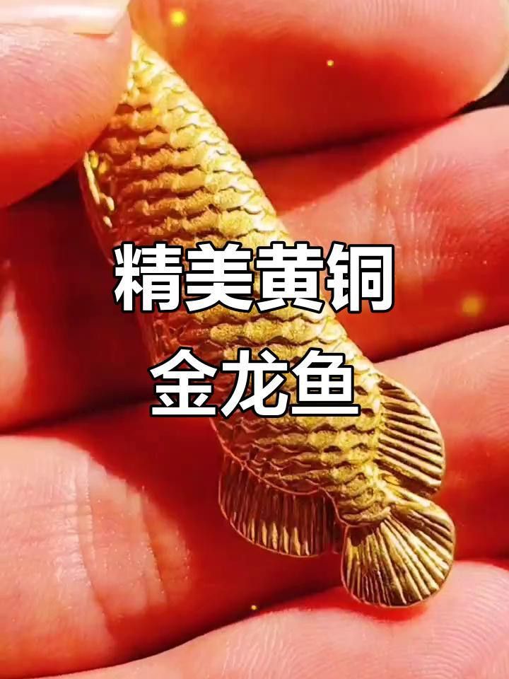 介紹金龍魚工藝品說明文英語版